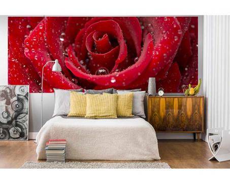 Panoramatická vliesová fototapeta Červená růže 375 x 150 cm