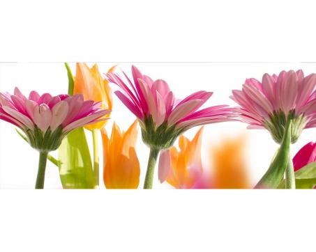 Panoramatická vliesová fototapeta Jarní květiny 375 x 150 cm