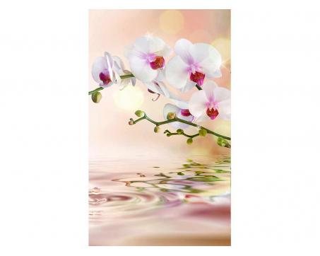 Vliesová fototapeta Bílá orchidej 150 x 250 cm