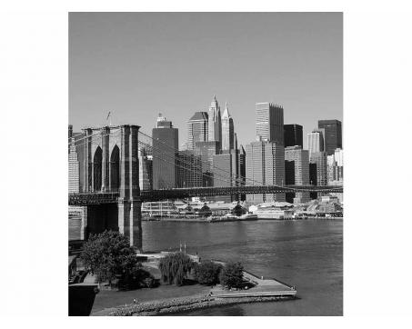 Vliesová fototapeta Manhattan v šedé barvě 225 x 250 cm