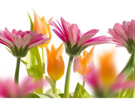 Vliesová fototapeta Jarní květiny 375 x 250 cm