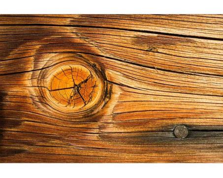 Vliesová fototapeta Dřevěný suk 375 x 250 cm