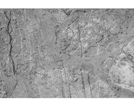 Vliesová fototapeta Betonová podlaha 375 x 250 cm