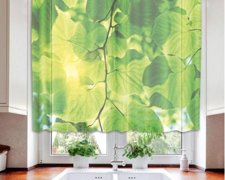 Hotové záclony DIMEX - kusová záclona Zelené listy 140 x 120 cm