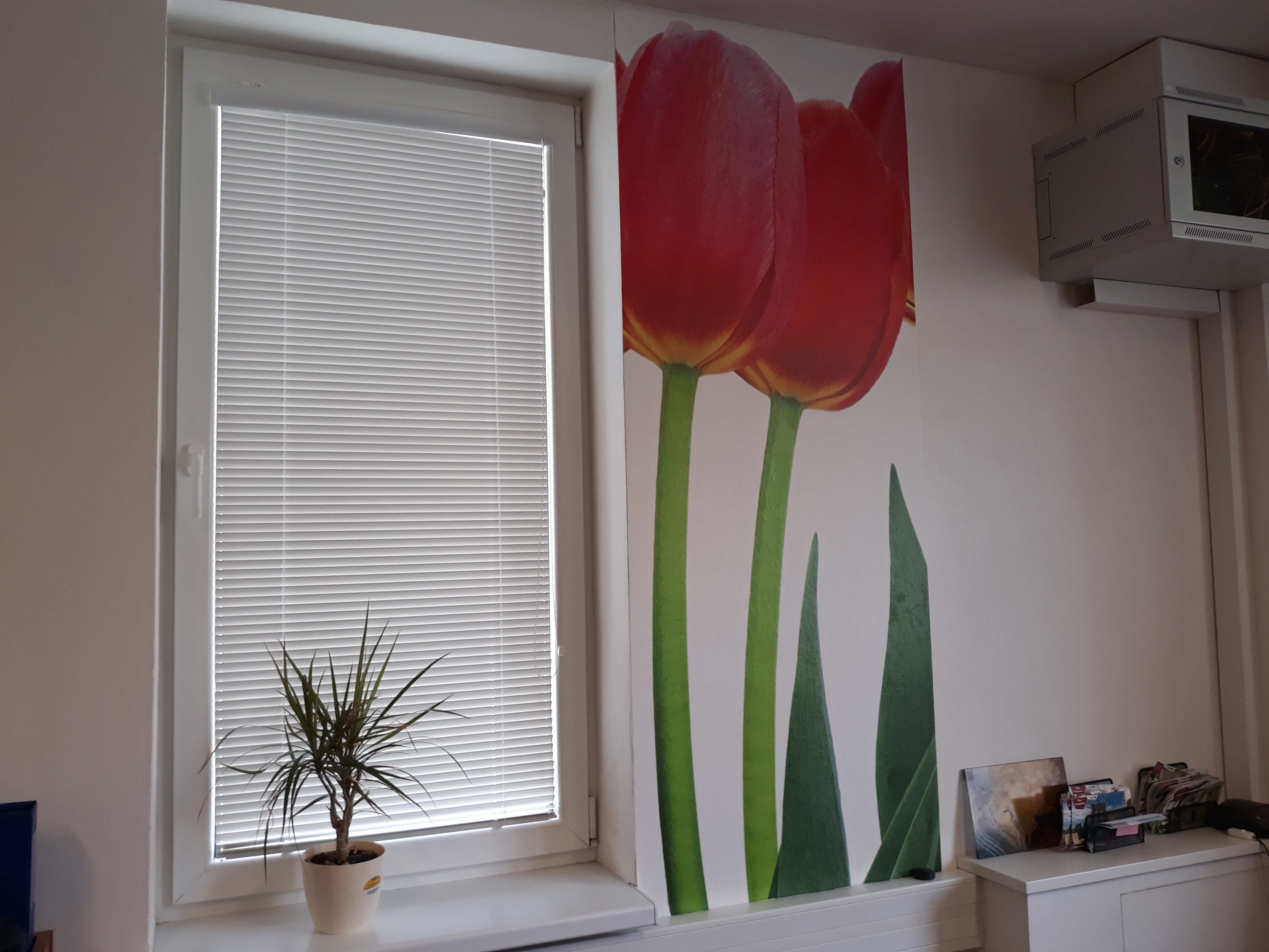 vliesová fototapeta tulipány