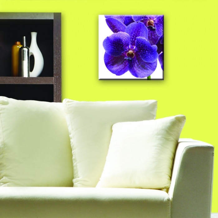 Obraz na skle - Fialová orchidej 30 x 30 cm