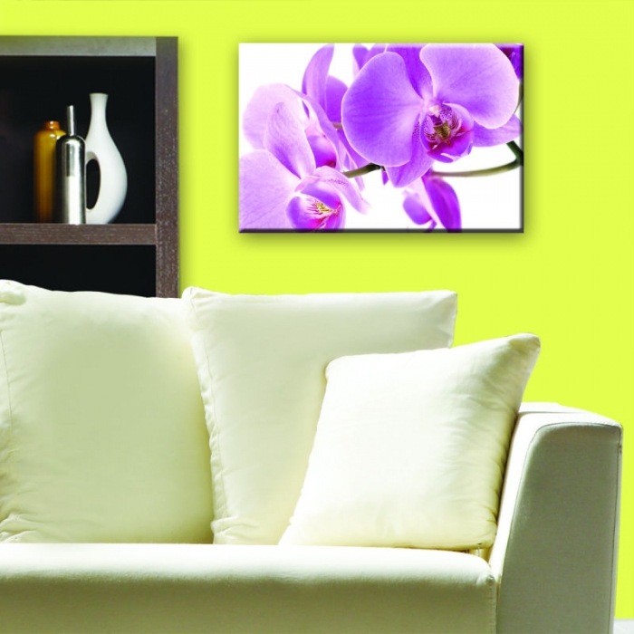 Obraz na skle - Růžová orchidej 45 x 30 cm