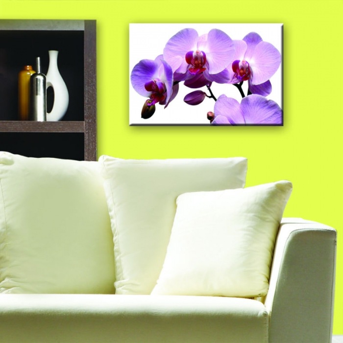 Obraz na skle - Orchidej 45 x 30 cm