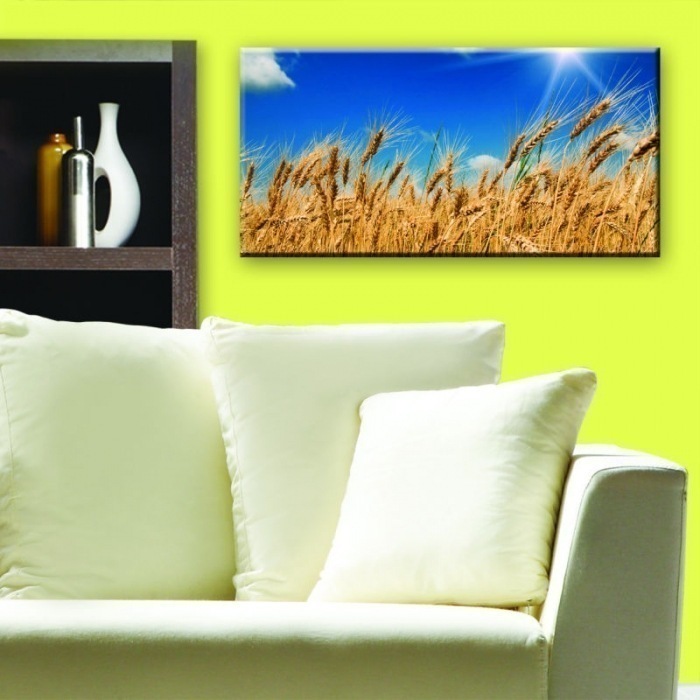 Obraz na skle - Pole pšenice 60x 30 cm