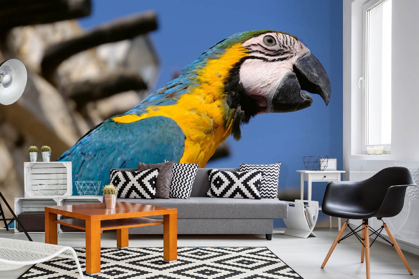 Samolepicí vliesová fototapeta Papoušek Macaw 375 x 250 cm