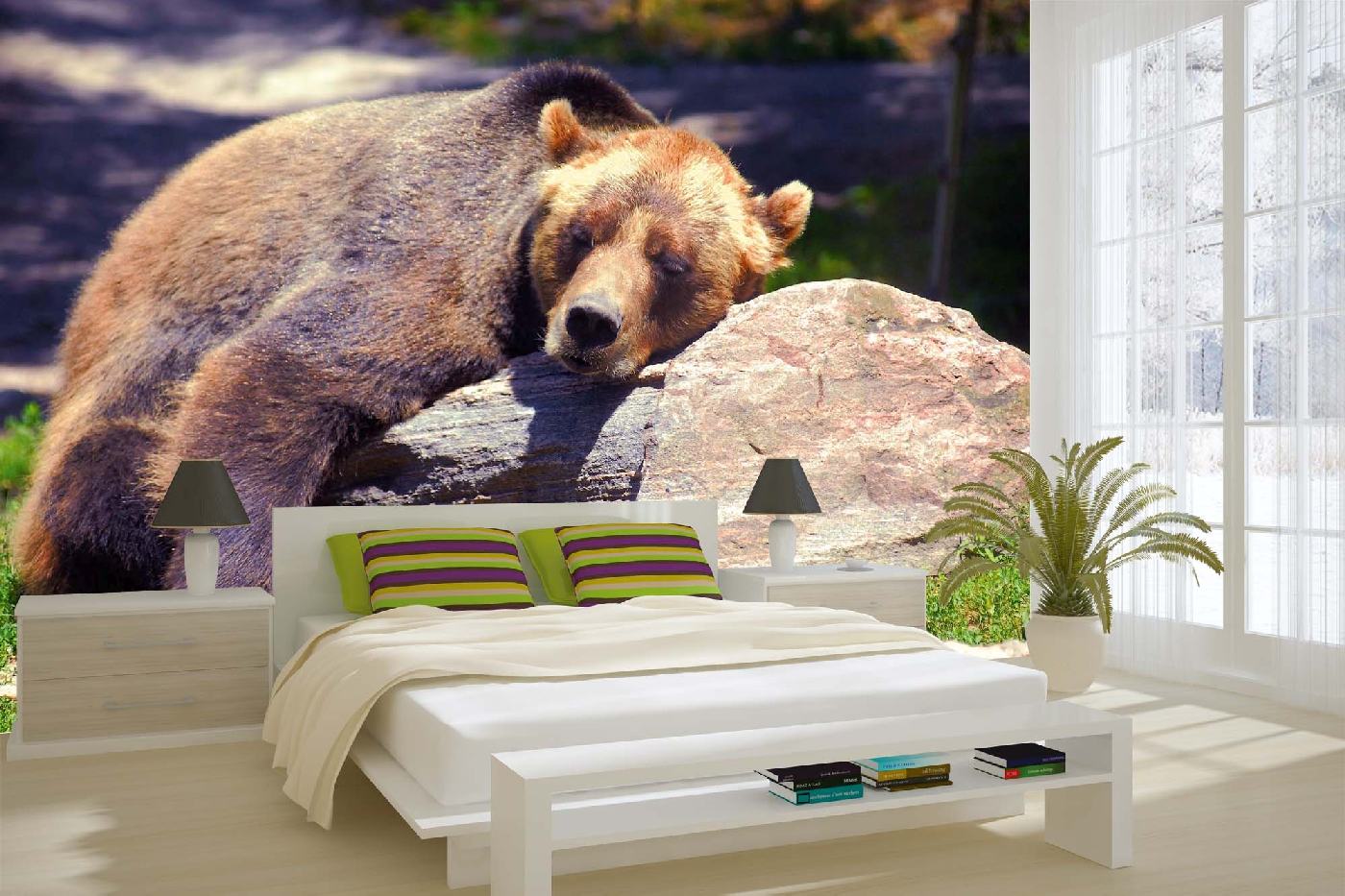 Samolepicí vliesová fototapeta Spící medvěd grizzly 375 x 250 cm