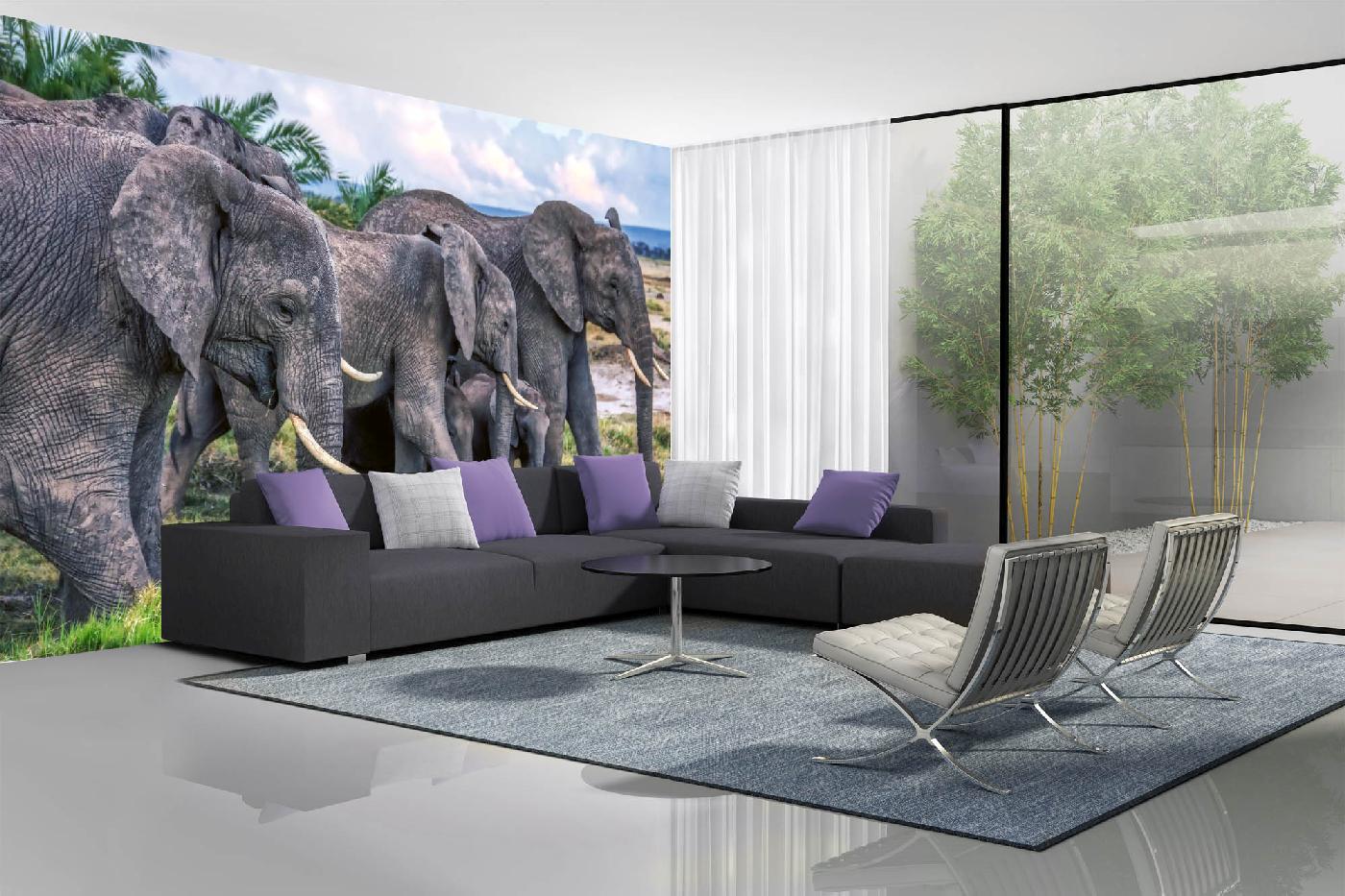 Samolepicí vliesová fototapeta Stádo slonů 375 x 250 cm