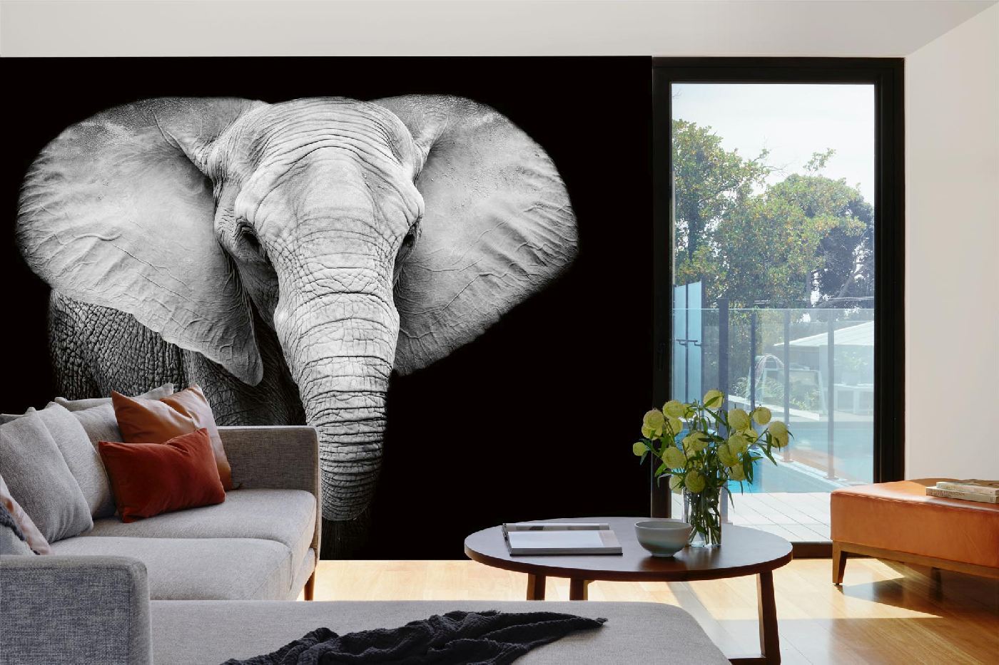 Samolepicí vliesová fototapeta Slon černobílý 375 x 250 cm