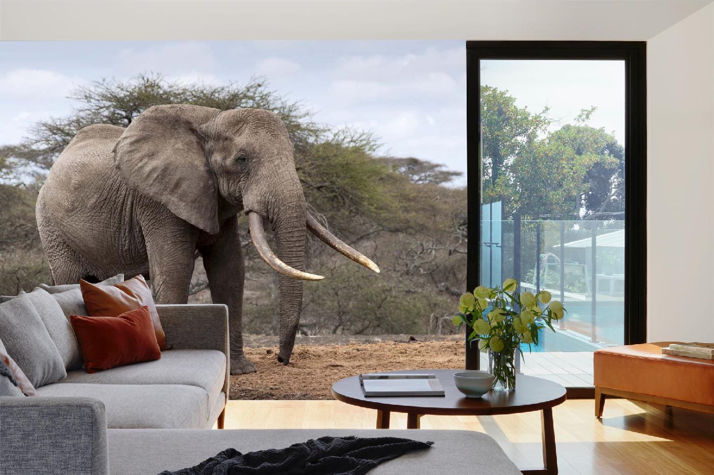 Samolepicí vliesová fototapeta Slon v Keni 375 x 250 cm