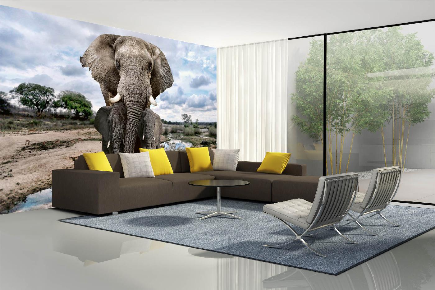 Samolepicí vliesová fototapeta Sloní rodina 375 x 250 cm