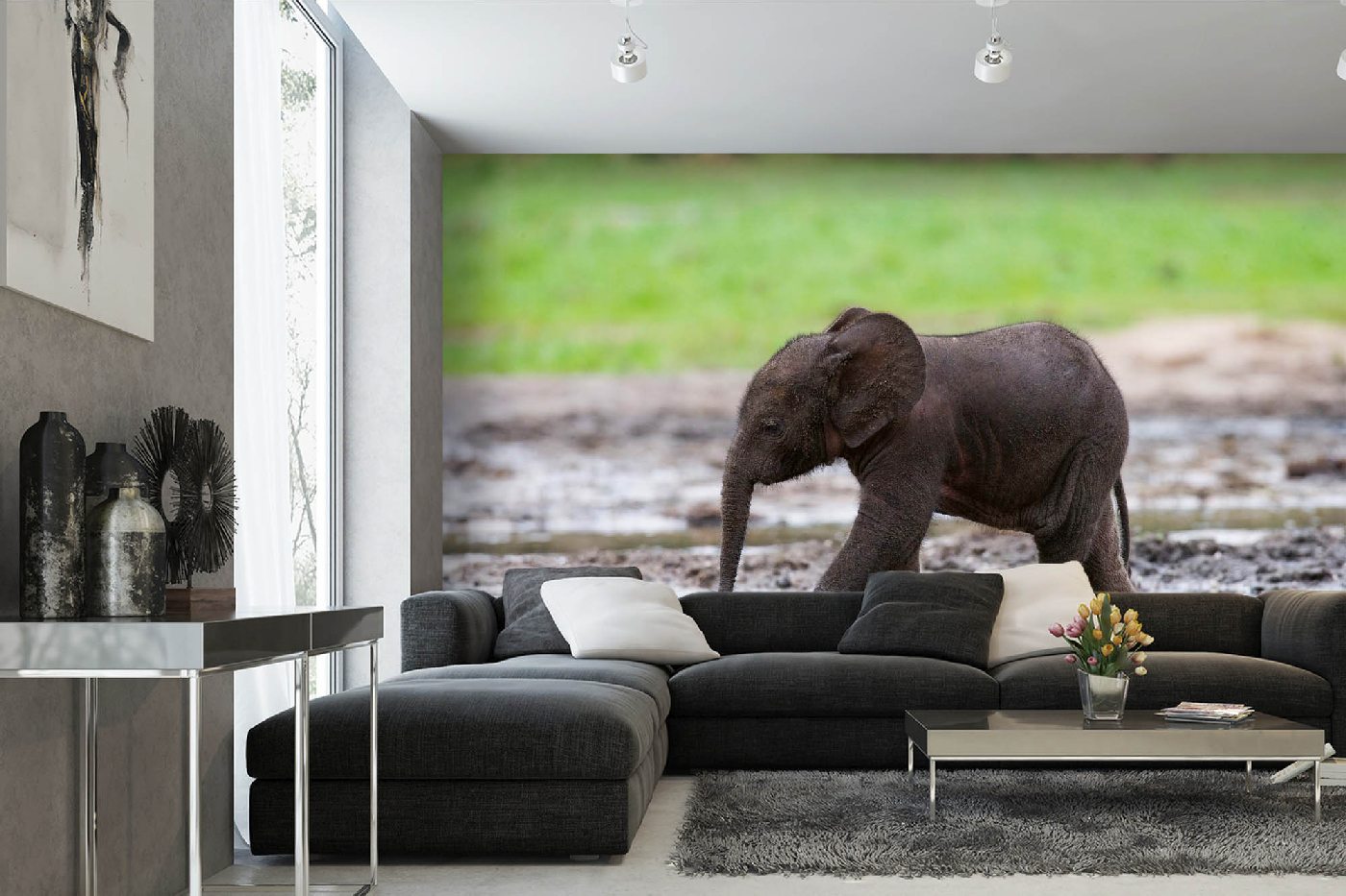Samolepicí vliesová fototapeta Malinké sloní mládě 375 x 250 cm
