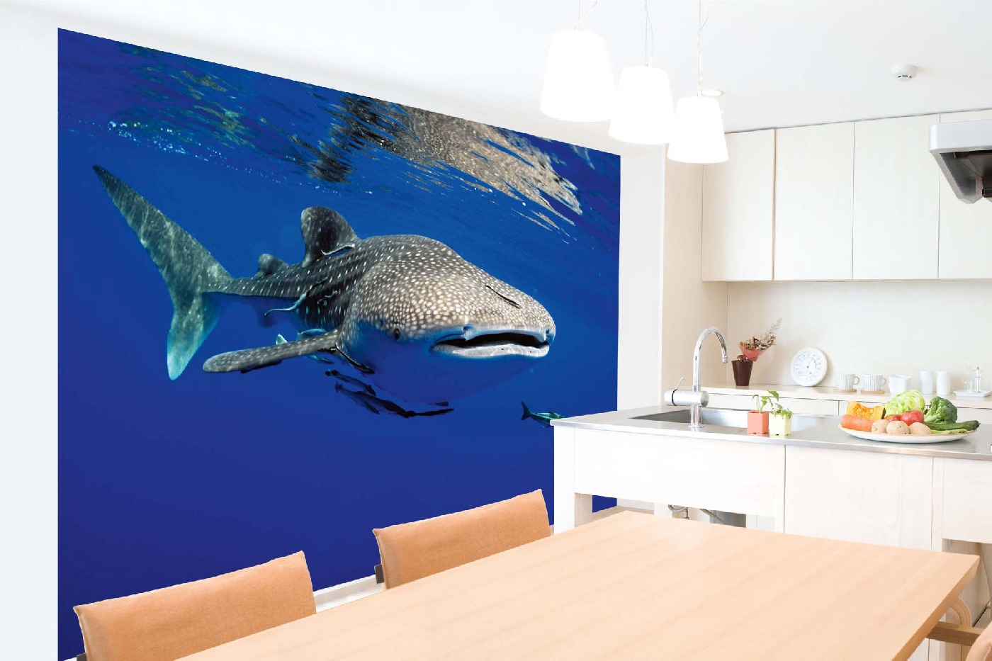 Samolepicí vliesová fototapeta Žralok obrovský 375 x 250 cm