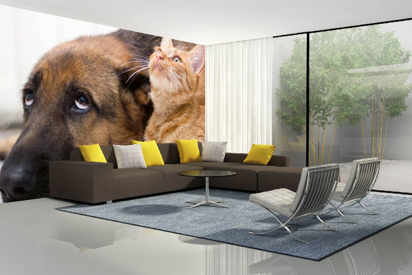 Samolepicí vliesová fototapeta Kočka se psem 375 x 250 cm