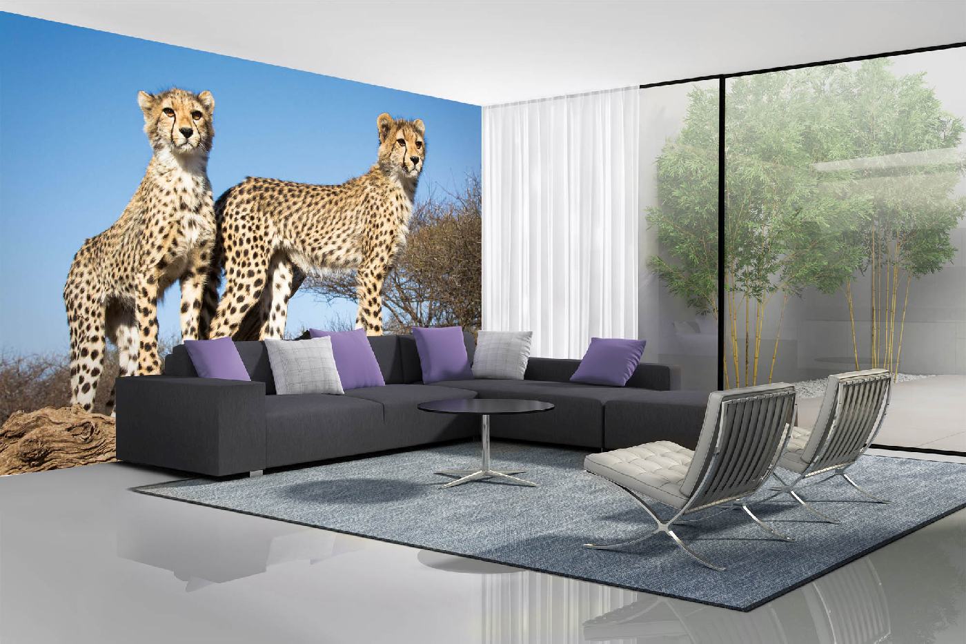 Samolepicí vliesová fototapeta Mladí gepardi 375 x 250 cm