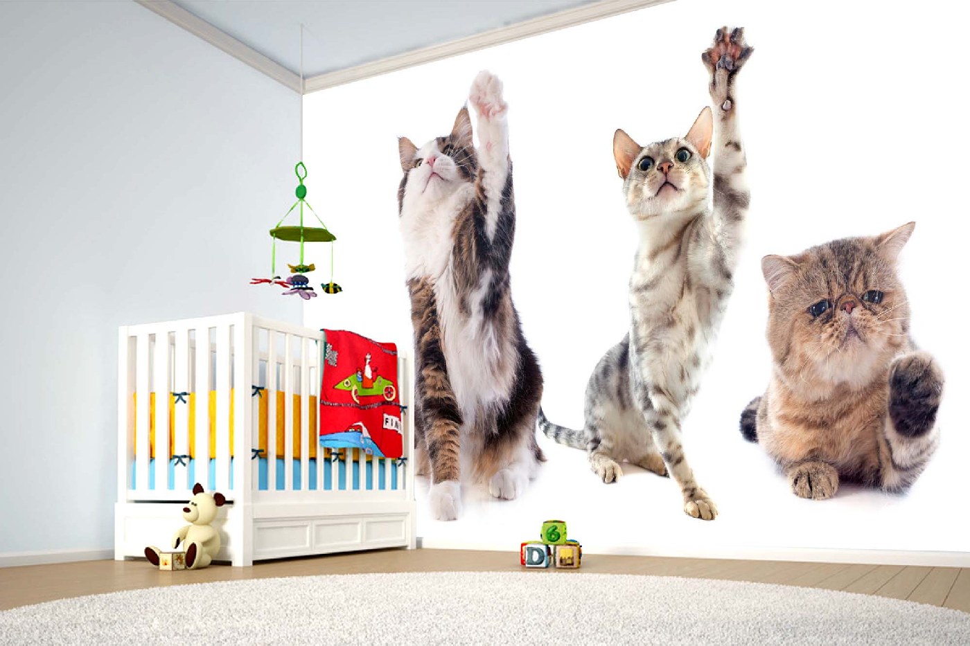 Samolepicí vliesová fototapeta Kočky ve škole 375 x 250 cm