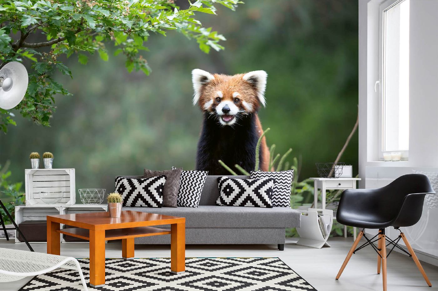 Samolepicí vliesová fototapeta Smějící se panda červená 375 x 250 cm