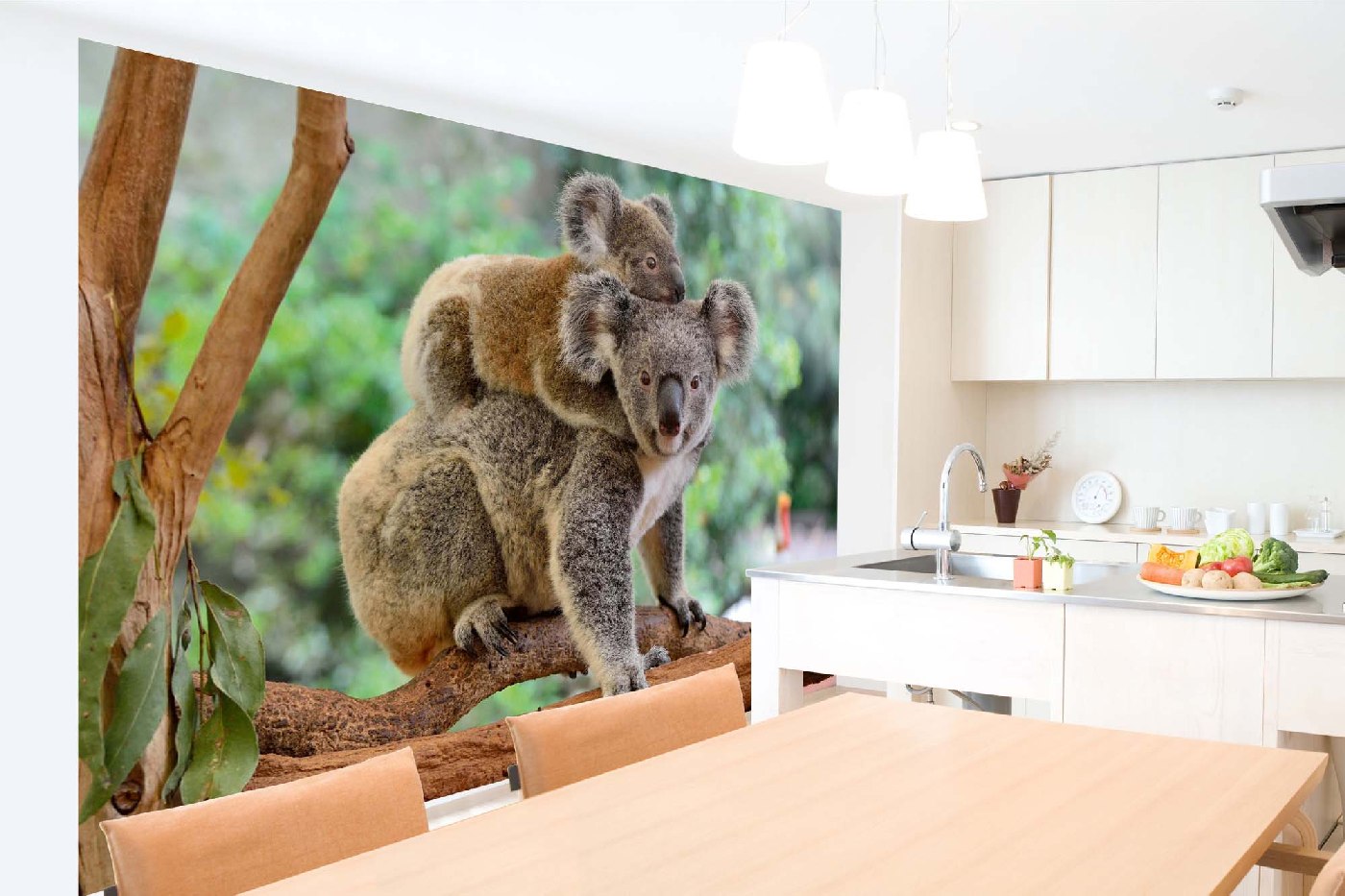 Samolepicí vliesová fototapeta Koala s mládětem 375 x 250 cm