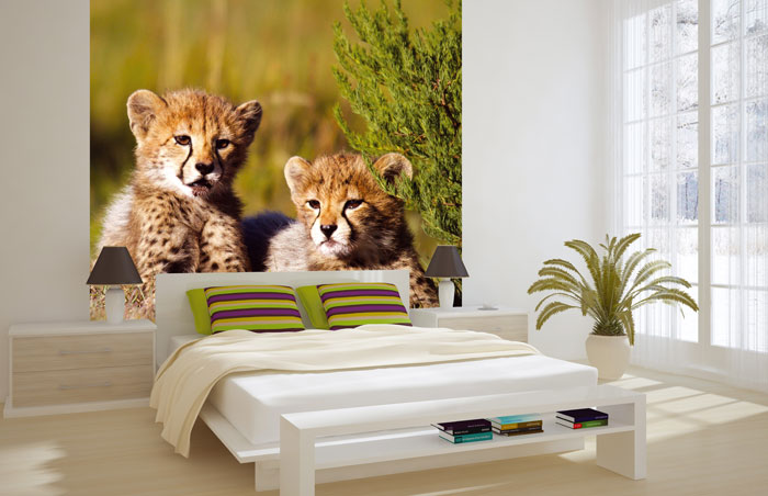 L-211 Vliesové fototapety na zeď Malí gepardi - 220 x 220 cm