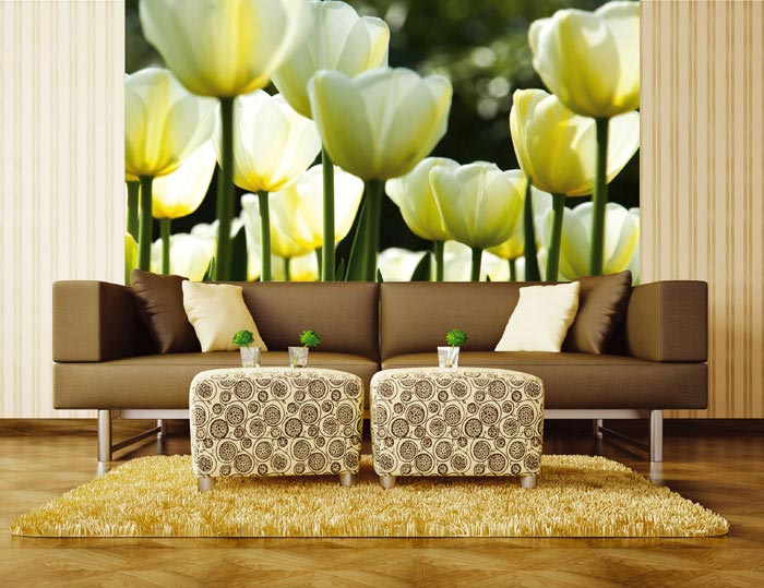 L-467 Vliesové fototapety na zeď Bílé tulipány - 220 x 220 cm