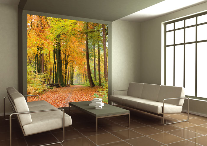 L-538 Vliesové fototapety na zeď Podzimní les - 220 x 220 cm