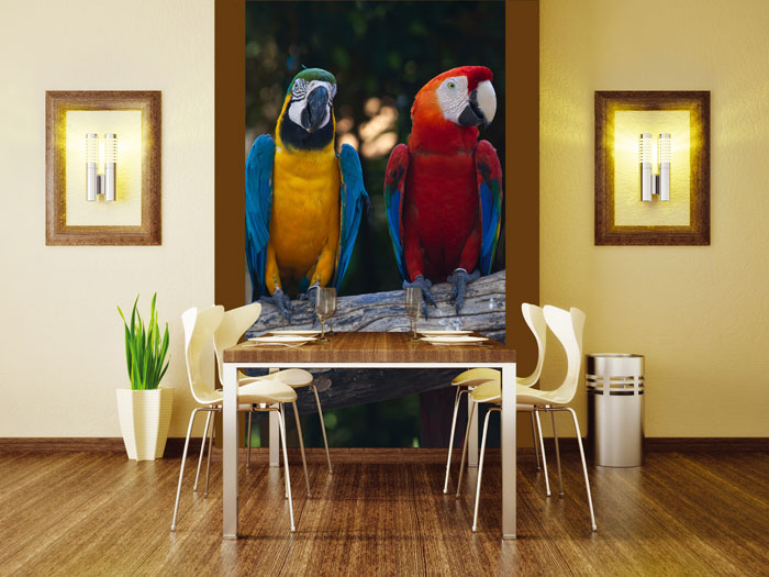S-184 Vliesové fototapety na zeď Barevní papoušci - 110 x 220 cm