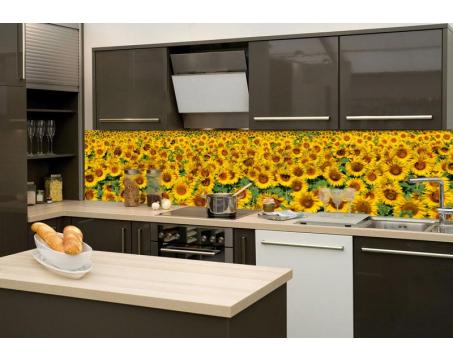 Fototapeta do kuchyně - Lány slunečnic 260 x 60 cm