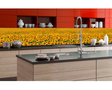 Fototapeta do kuchyně - Lány slunečnic 350 x 60 cm