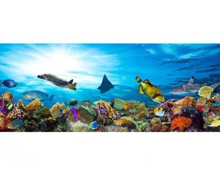 Panoramatická vliesová fototapeta Ryby v oceánu 375 x 150 cm
