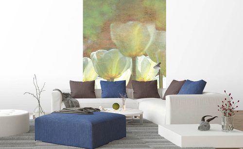 Vliesová fototapeta Astrakt bílé tulipány 150 x 250 cm