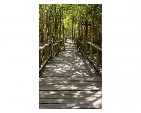 Vliesová fototapeta Mangrovový les 150 x 250 cm