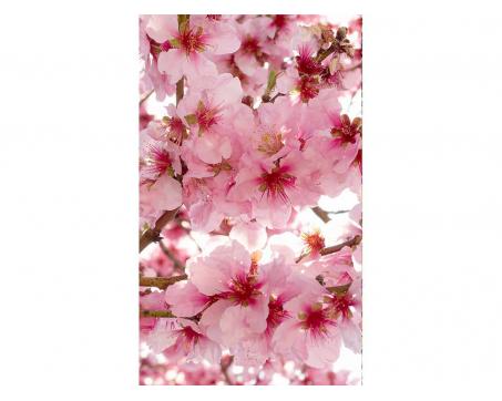 Vliesová fototapeta Květy jabloní 150 x 250 cm