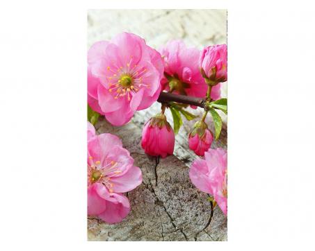 Vliesová fototapeta Sakura 150 x 250 cm