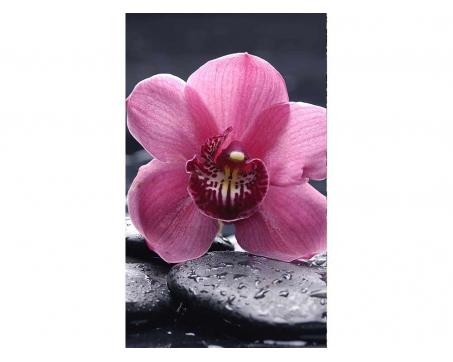 Vliesová fototapeta Orchidej 150 x 250 cm
