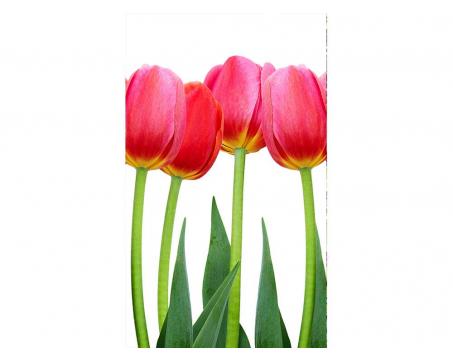 Vliesová fototapeta Tulipány 150 x 250 cm