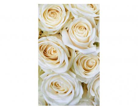 Vliesová fototapeta Bílé růže 150 x 250 cm