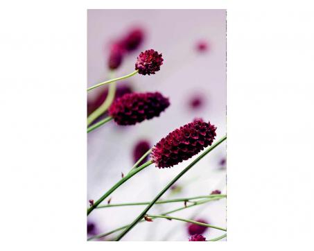 Vliesová fototapeta Fialová květina 150 x 250 cm