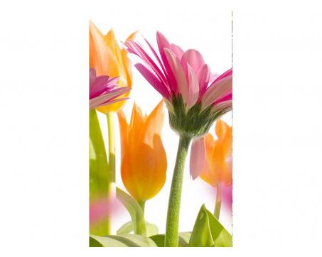 Vliesová fototapeta Jarní květiny 150 x 250 cm