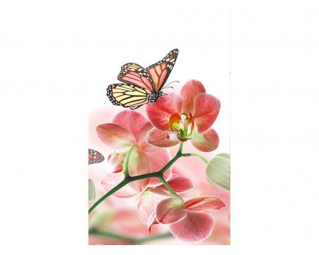 Vliesová fototapeta Motýli a orchideje 150 x 250 cm