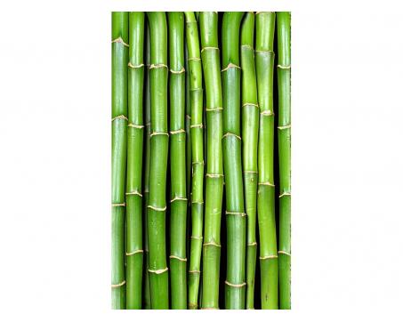 Vliesová fototapeta Bambus 150 x 250 cm