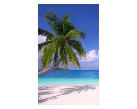 Vliesová fototapeta Pláž s palmou 150 x 250 cm