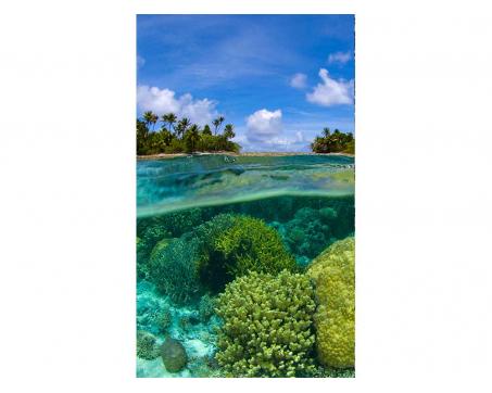 Vliesová fototapeta Korálový útes 150 x 250 cm