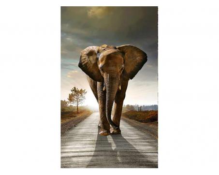 Vliesová fototapeta Kráčející slon 150 x 250 cm
