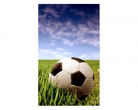 Vliesová fototapeta Fotbalový míč 150 x 250 cm