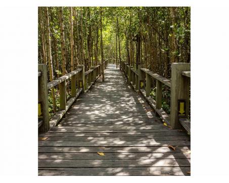 Vliesová fototapeta Mangrovový les 225 x 250 cm
