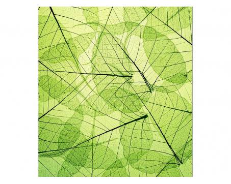 Vliesová fototapeta Žilky listů 225 x 250 cm